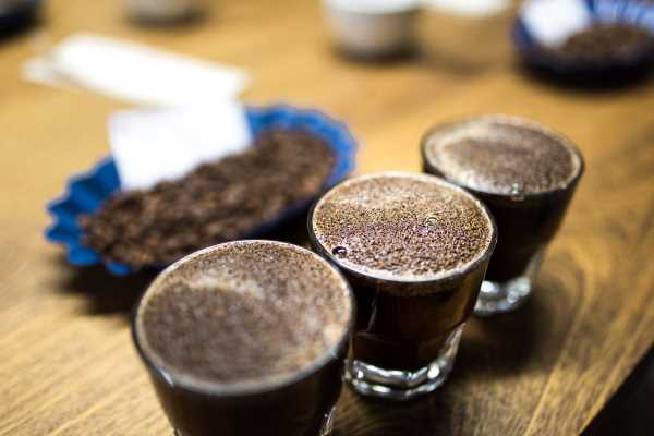 Professional Cupping Wholesale Coffee